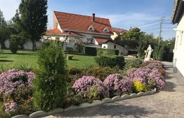 Proprietate de lux 600 mp, teren 2300 mp, cu piscină în zona Lunei