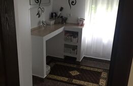 Proprietate de lux 600 mp, teren 2300 mp, cu piscină în zona Lunei