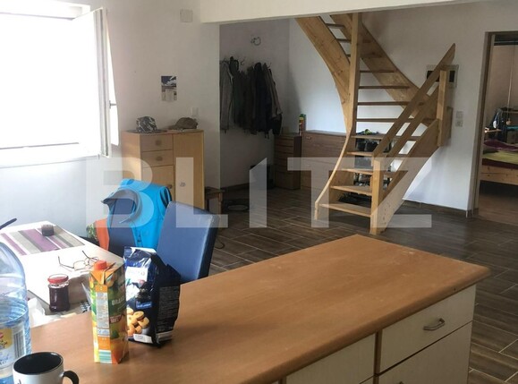 Casa de vânzare 5 camere Voiteg - 96723CV | BLITZ Timișoara | Poza2