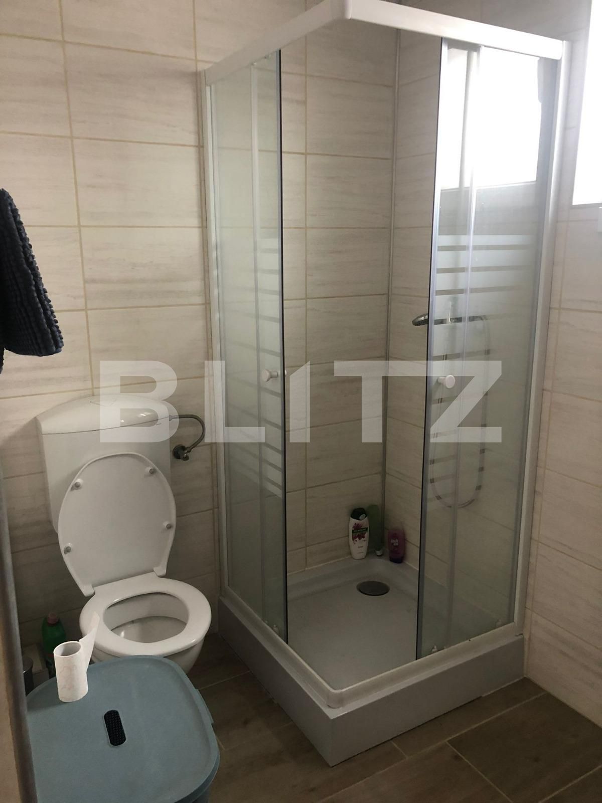 Casa de vânzare 5 camere Voiteg - 96723CV | BLITZ Timișoara | Poza6