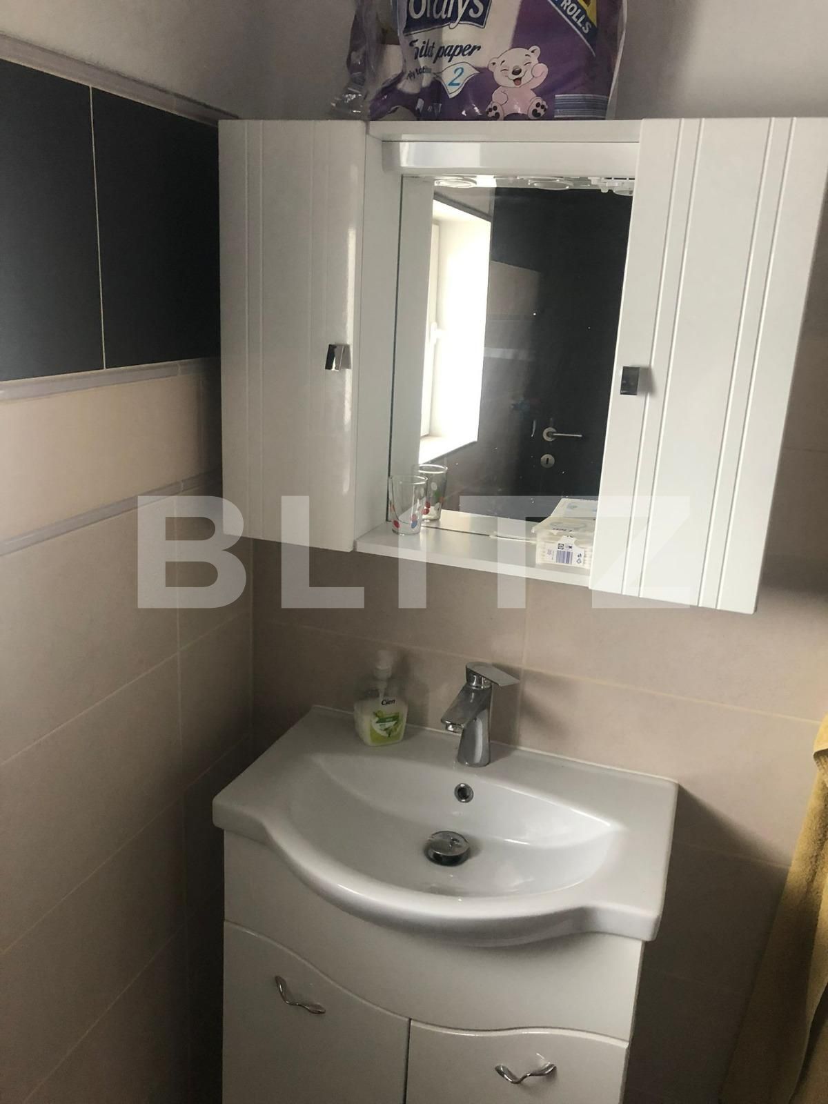 Casa de vânzare 5 camere Voiteg - 96723CV | BLITZ Timișoara | Poza12