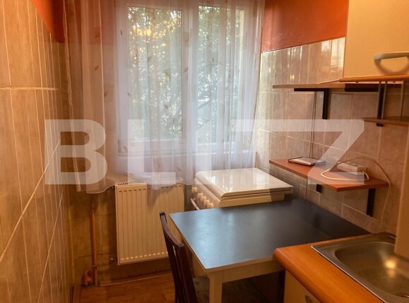 Apartament de închiriat 2 camere Sagului - 96945AI | BLITZ Timișoara | Poza5