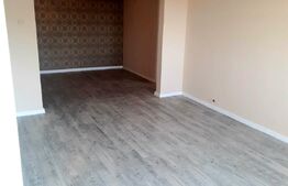 Apartament spatios, 3 camere, 85 mp, Take Ionescu