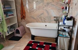 Casa individuala la cheie, 160 mp utili, teren 600 mp, Dumbravita