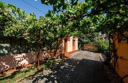 2 case, 174 mp, teren 1.116 mp, în Ronaț 