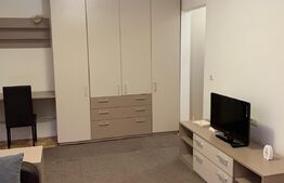 Apartament de 1 camera, 28 mp, semidecomandat, zona Modern