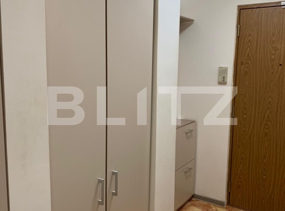 Garsonieră de vânzare Simion Barnutiu - 97172AV | BLITZ Timișoara | Poza6