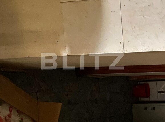 Spațiu comercial de vânzare Cetatii - 97270SVC | BLITZ Timișoara | Poza13