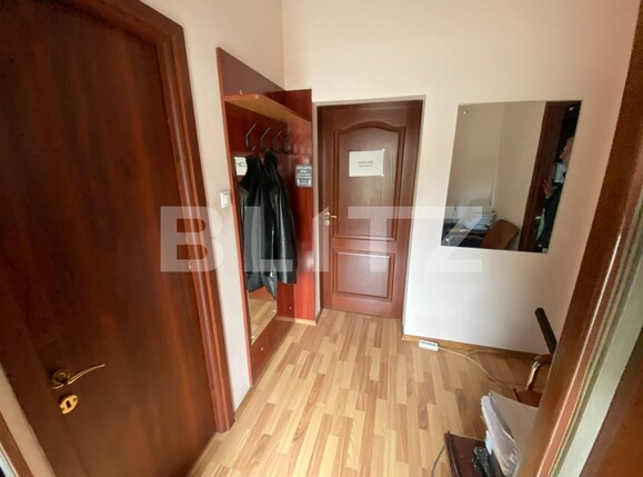 Spațiu comercial de vânzare Cetatii - 97270SVC | BLITZ Timișoara | Poza9