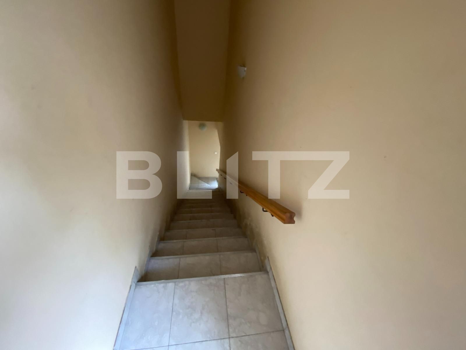 Spațiu comercial de vânzare Cetatii - 97270SVC | BLITZ Timișoara | Poza8