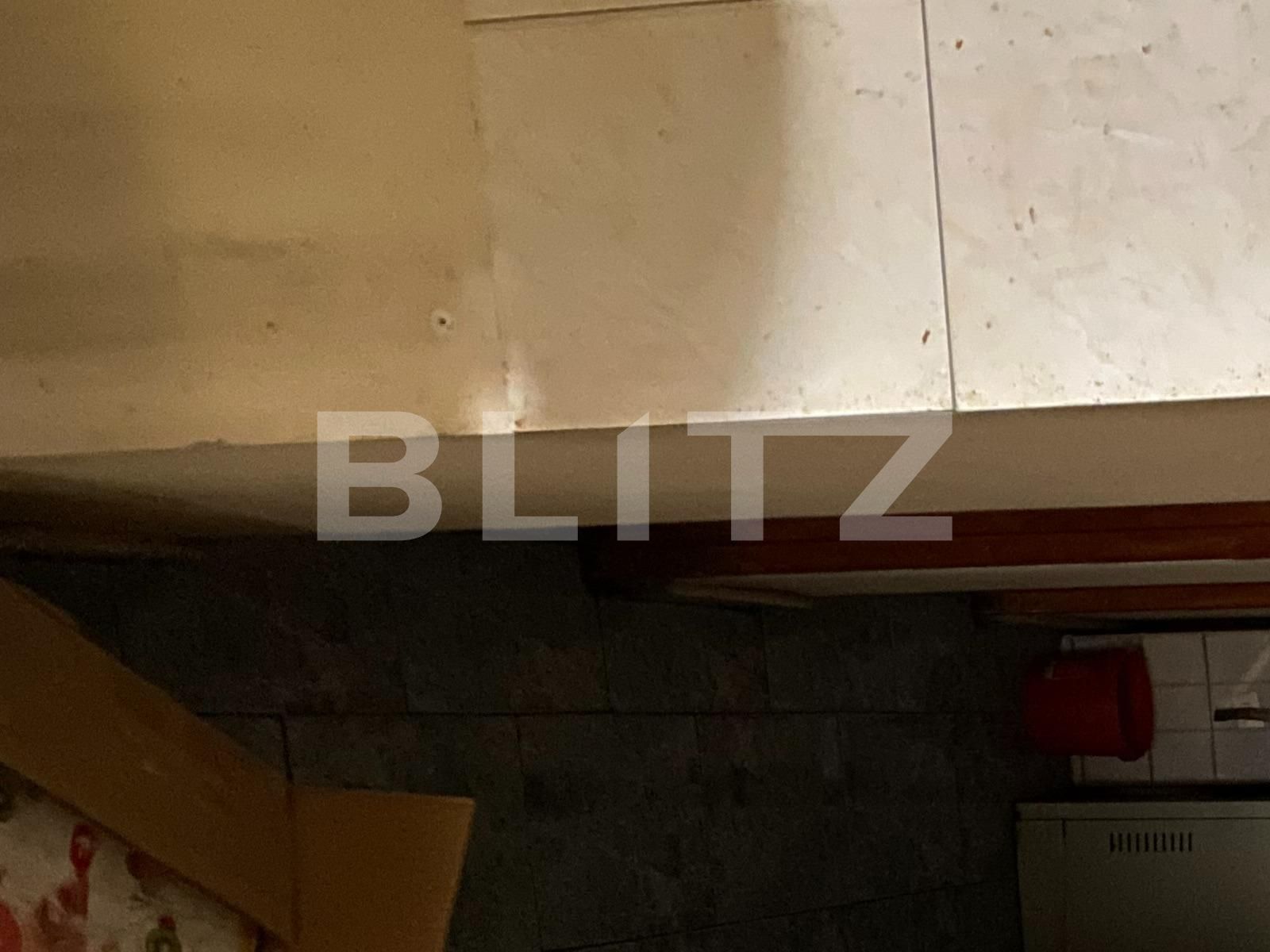 Spațiu comercial de vânzare Cetatii - 97270SVC | BLITZ Timișoara | Poza13