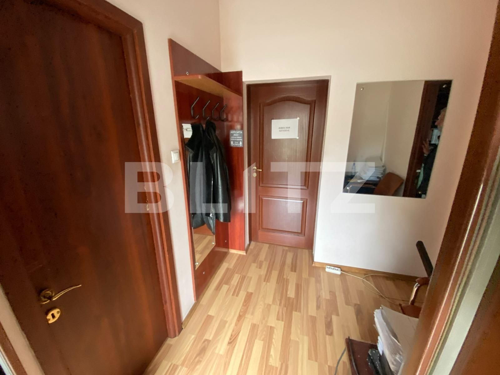 Spațiu comercial de vânzare Cetatii - 97270SVC | BLITZ Timișoara | Poza9