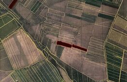 Teren extravilan 90800 mp+3.000 mp faneata, Ianova!