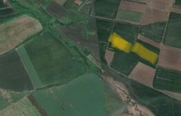 Teren extravilan 90800 mp+3.000 mp faneata, Ianova!