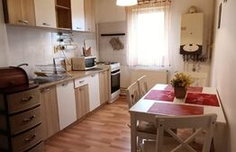 Apartament de 2 camere, 45 mp, etaj intermediar, Calea Girocului