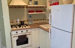 Garsoniera, 26 mp, mobilat/utilat, zona Lipovei