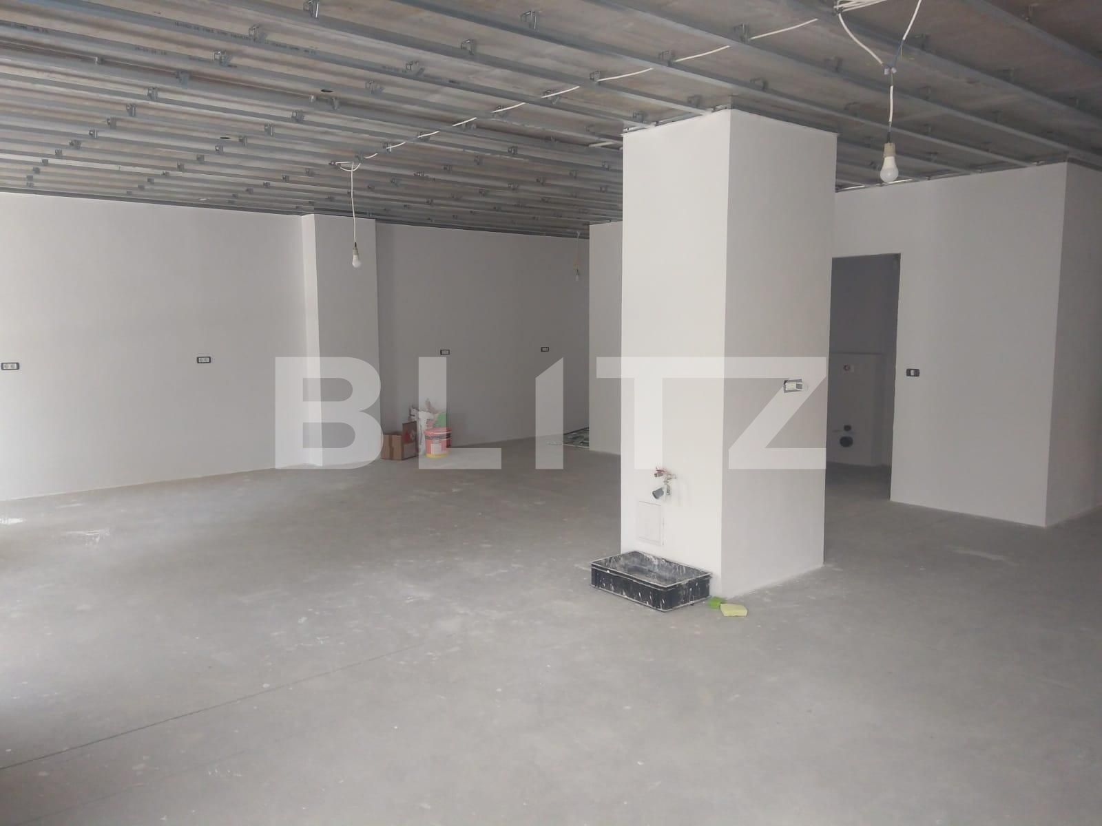 Spațiu comercial de închiriat Take Ionescu - 97363SIC | BLITZ Timișoara | Poza2