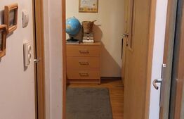 Apartament de 2 camere, semidecomandat, 52mp, zona Lipovei