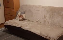 Apartament de 2 camere, semidecomandat, 52mp, zona Lipovei