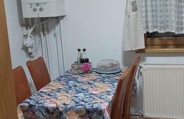 Apartament de 2 camere, semidecomandat, 52mp, zona Lipovei