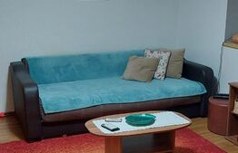 Apartament de 2 camere, semidecomandat, 52mp, zona Lipovei