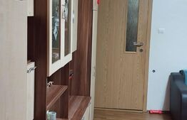 Apartament de 2 camere, semidecomandat, 52mp, zona Lipovei