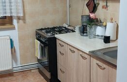 Apartament de 2 camere, semidecomandat, 52mp, zona Lipovei