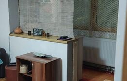 Apartament de 2 camere, semidecomandat, 52mp, zona Lipovei