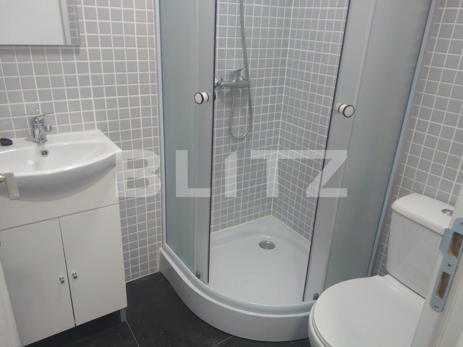Apartament de închiriat 2 camere Dambovita - 97375AI | BLITZ Timișoara | Poza4