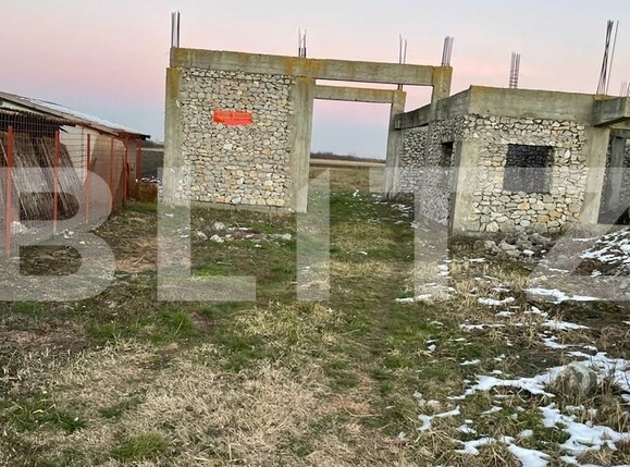 Casa de vânzare 4 camere Exterior Sud - 97683CV | BLITZ Timișoara | Poza2