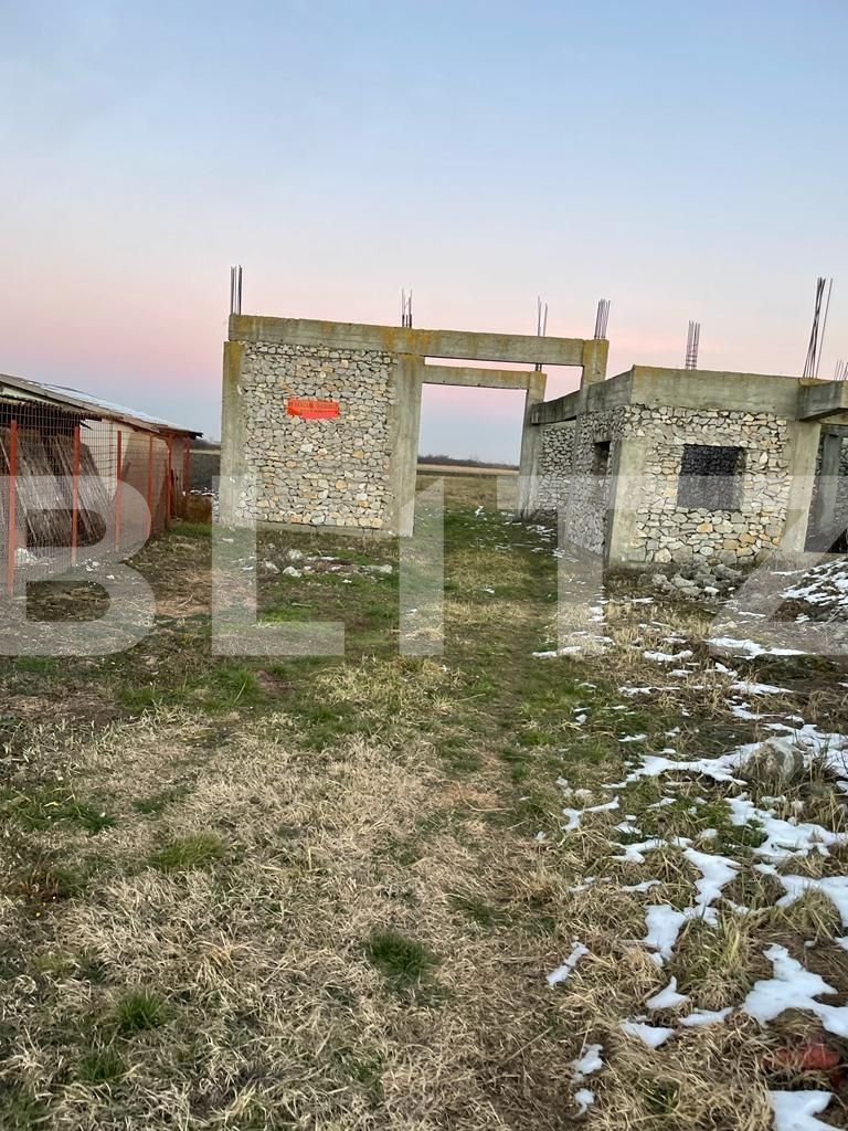 Casa de vânzare 4 camere Exterior Sud - 97683CV | BLITZ Timișoara | Poza2