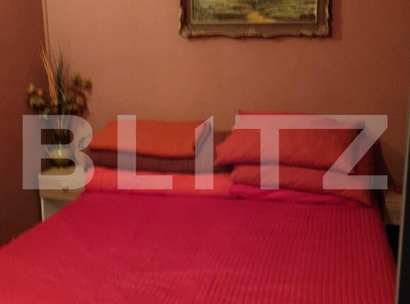 Casa de vânzare 8 camere Lugoj - 97788CV | BLITZ Timișoara | Poza13