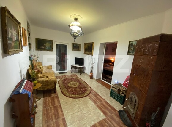 Casa de vânzare 8 camere Lugoj - 97788CV | BLITZ Timișoara | Poza14