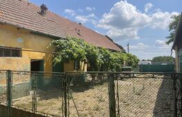 Casa cu 4 camere, 300 mp, teren 2000 mp, zona Iecea Mare