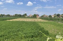 Casa cu 4 camere, 300 mp, teren 2000 mp, zona Iecea Mare