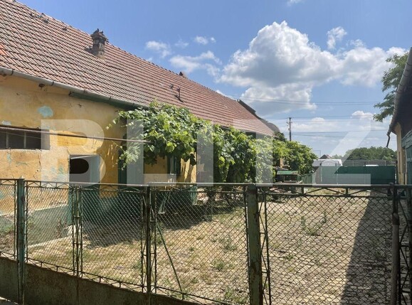 Casa de vânzare 4 camere Exterior Vest - 97816CV | BLITZ Timișoara | Poza3