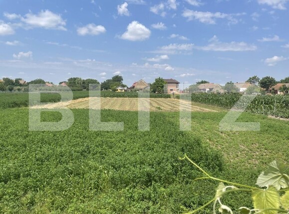 Casa de vânzare 4 camere Exterior Vest - 97816CV | BLITZ Timișoara | Poza4