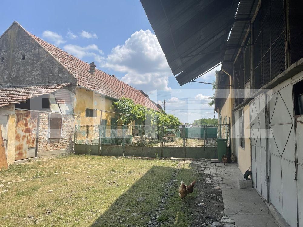 Casa de vânzare 4 camere Exterior Vest - 97816CV | BLITZ Timișoara | Poza2