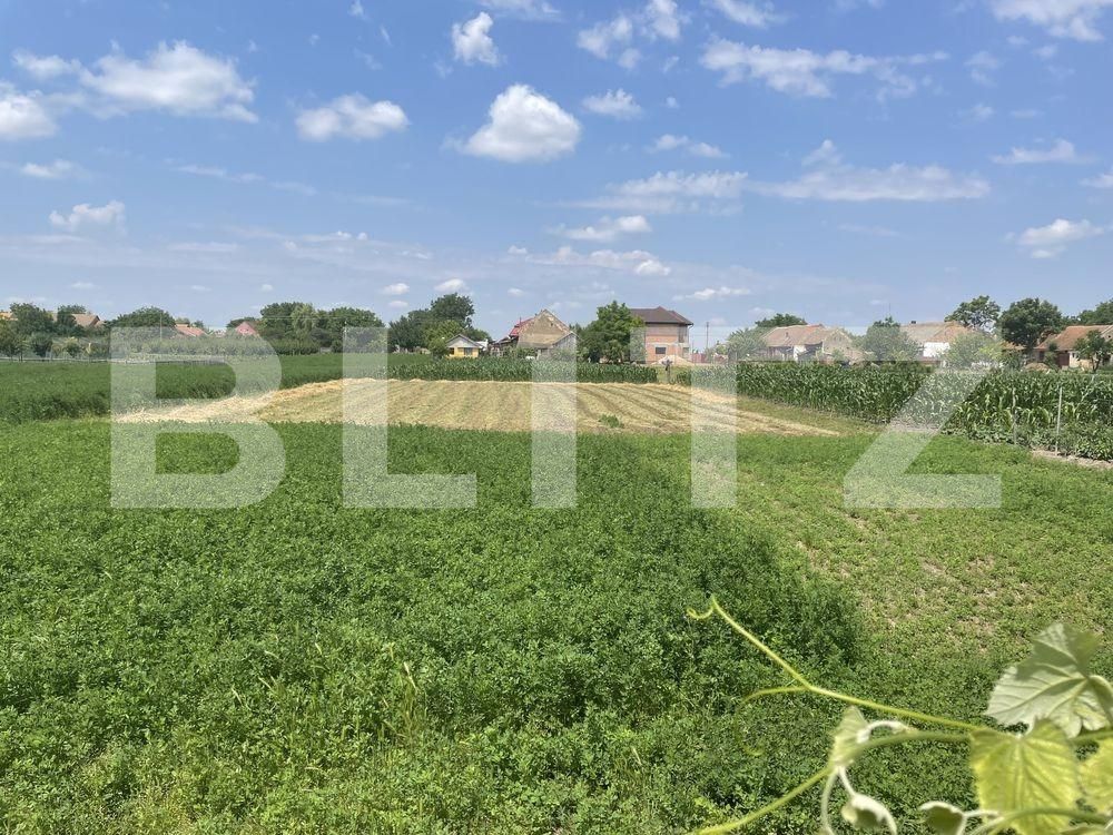 Casa de vânzare 4 camere Exterior Vest - 97816CV | BLITZ Timișoara | Poza4