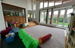  Vila deosebita de 6 camere D+P+2E zona Lipovei