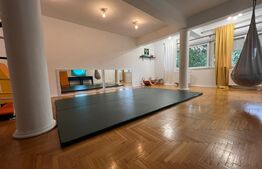  Vila deosebita de 6 camere D+P+2E zona Lipovei