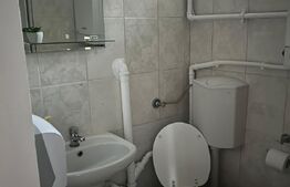  Vila deosebita de 6 camere D+P+2E zona Lipovei