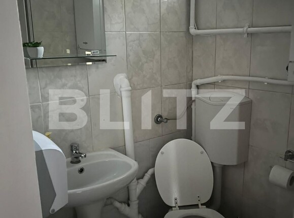 Casa de vânzare 6 camere Lipovei - 97853CV | BLITZ Timișoara | Poza12