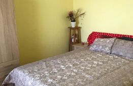 Apartament de 2 camere, 41 mp, semidecomandat,  zona Dacia 