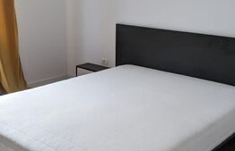 Duplex finisat, 97 mp utili, 250 mp teren, Zona Lunei