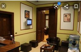 Ansamblu de 4 apartamente, 350 mp,10 camere,etaj intermediar, Iosefin