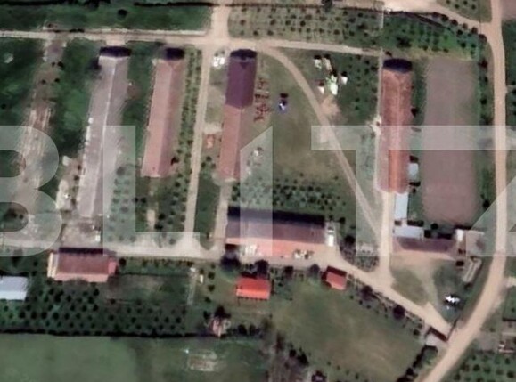 Teren de vânzare Mașloc - 98093TV | BLITZ Timișoara | Poza1