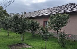 Casa individuala 166 mp utili, teren 907 mp, Mosnita Noua