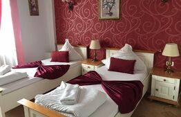 Complex Hotelier 4 stele, 1480 mp utili, teren 1380 mp, Timisoara