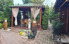 Complex Hotelier 4 stele, 1480 mp utili, teren 1380 mp, Timisoara